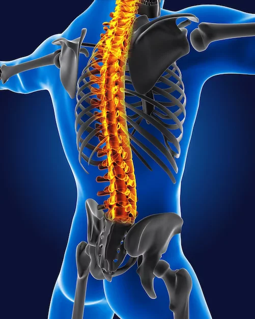 spinal surgery