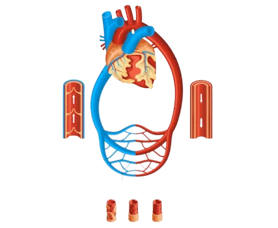 Aortic Stenosis Treatment